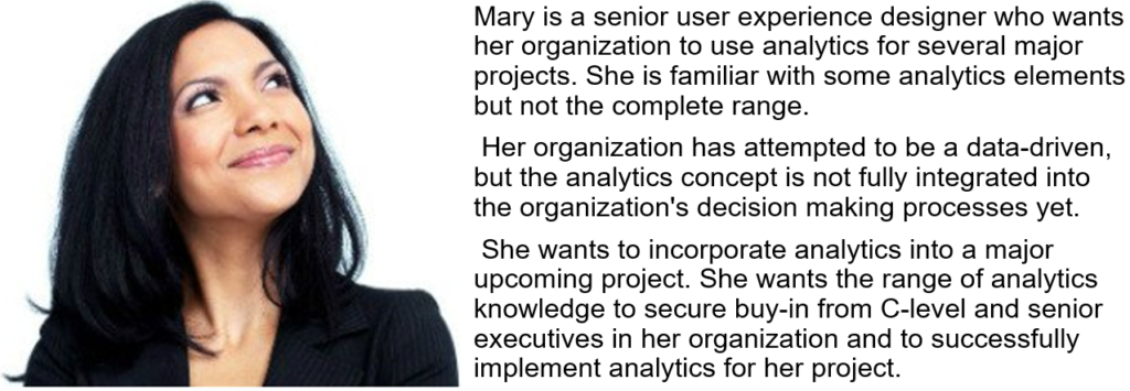 Mary is a senior user experience designer who wants her organization to use analytics for several major projects. 